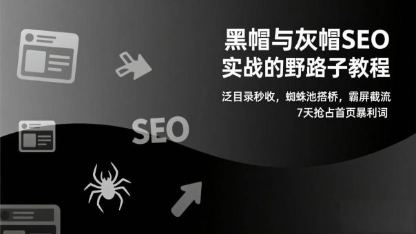 （17125期）黑帽与灰帽SEO实战的野路子教程：泛目录秒收，蜘蛛池搭桥，霸屏截流，7天抢占首页暴利词-韬哥副业项目资源网