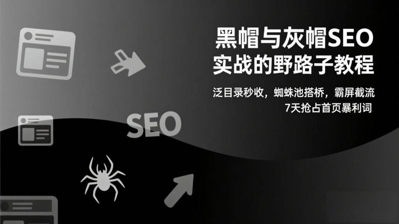 （17125期）黑帽与灰帽SEO实战的野路子教程：泛目录秒收，蜘蛛池搭桥，霸屏截流，7天抢占首页暴利词-韬哥副业项目资源网