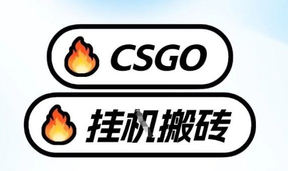真全网独家CSGO挂G,最新玩法,单日捡漏1K+,不用电脑,不用打游戏【揭秘】-韬哥副业项目资源网