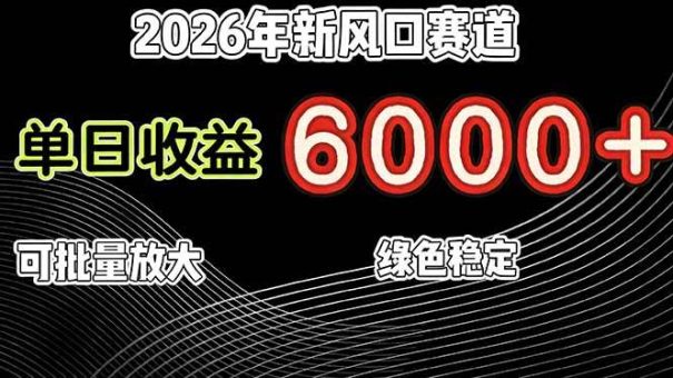 （17135期）2026年新风口赛道，当日6000+以上，可批量放大，月收入20万+，长期绿色稳定的项目-韬哥副业项目资源网