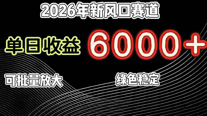 （17135期）2026年新风口赛道，当日6000+以上，可批量放大，月收入20万+，长期绿色稳定的项目-韬哥副业项目资源网