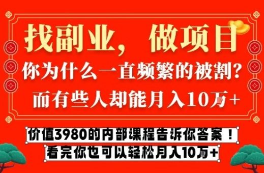 价值3980的网创内部课程,告诉你互联网创业月入10个W的秘密【揭秘】-韬哥副业项目资源网