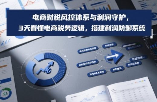 电商财税风控体系与利润守护，3天看懂电商税务逻辑，搭建利润防御系统-韬哥副业项目资源网
