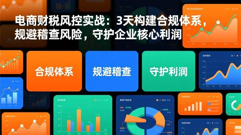 （17197期）电商财税风控实战：3天构建合规体系，规避稽查风险，守护企业核心利润-韬哥副业项目资源网