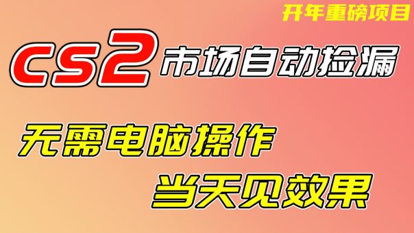 CS2市场挂机项,无需电脑操作,无需进入游戏,当天见效果,支持任何形式验证-韬哥副业项目资源网