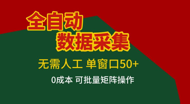 全自动数据采集，无需人工，单窗口50+，0成本可批量矩阵操作【揭秘】-韬哥副业项目资源网