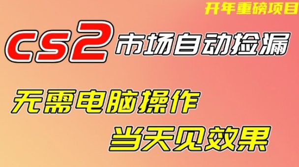 CS2市场自动捡漏项目，无需电脑操作，无需进入游戏，当天见效果，支持任何形式验证【揭秘】-韬哥副业项目资源网