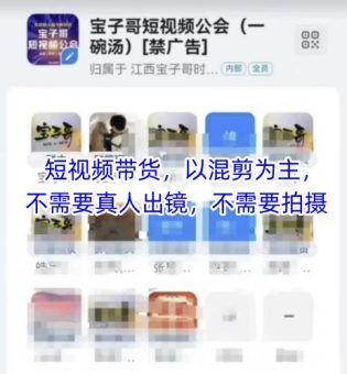宝子哥头部团队短视频带货，以混剪为主，不需要真人出镜，不需要拍摄【更新26年1月】-韬哥副业项目资源网