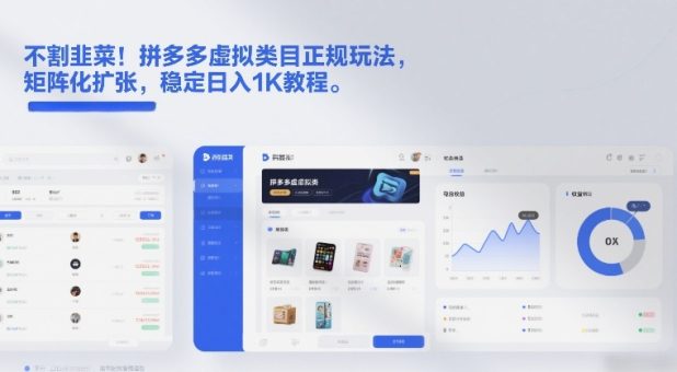 不割韭菜！拼多多虚拟类目正规玩法，矩阵化扩张，稳定日入1K教程【揭秘】-韬哥副业项目资源网