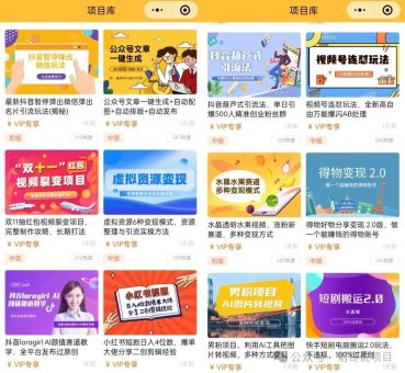 店铺人工客服-韬哥副业项目资源网