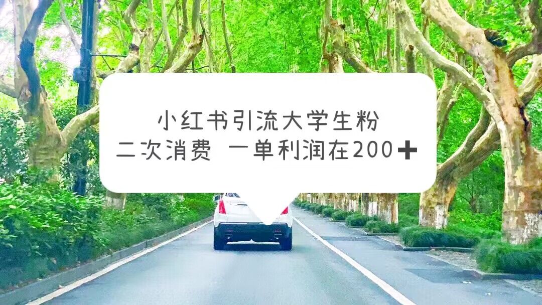 （5914期）小红书引流大学生粉，变现项目，一单利润在200+（教程+资源）-韬哥副业项目资源网
