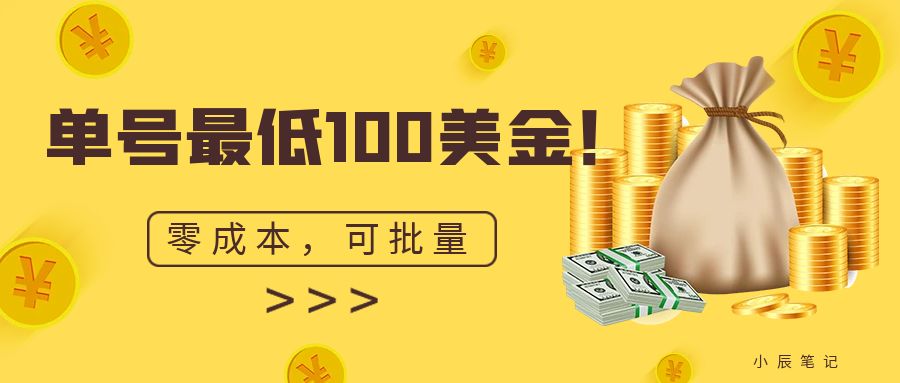 （6975期）单号最低100美金，零成本，小白无脑操作。可复制，可扩大。-韬哥副业项目资源网