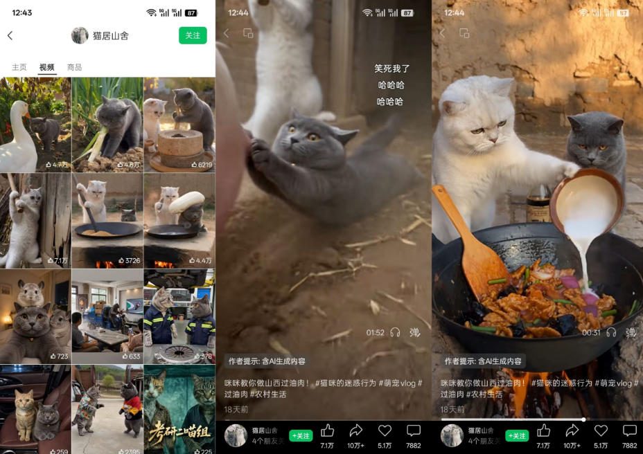猫咪慢生活短视频教学,AI搞笑萌宠赛道,视频号分成+精选独家+伙伴计划+商单收徒等多种变现方式-韬哥副业项目资源网