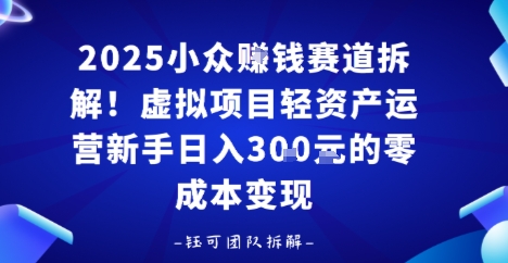 2025小众挣钱赛道拆解！虚拟项目轻资产运营新手日入3张的零成本变现-韬哥副业项目资源网
