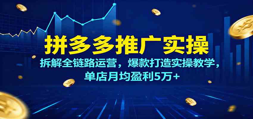 拼多多推广实操，拆解全链路运营，爆款打造实操教学，单店月均盈利5万+-韬哥副业项目资源网