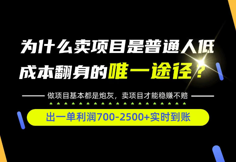 普通人如何靠互联网賺取自己的第一桶金！全类目实操型教学，看完你全都懂了！【揭秘】-韬哥副业项目资源网