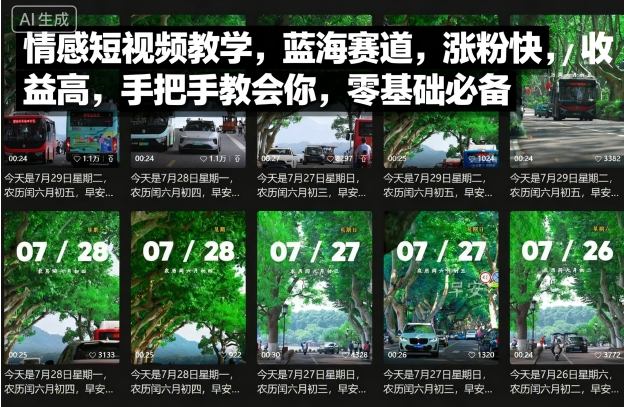 情感短视频教学，蓝海赛道，涨粉快，收益高，手把手教会你，零基础必备-韬哥副业项目资源网