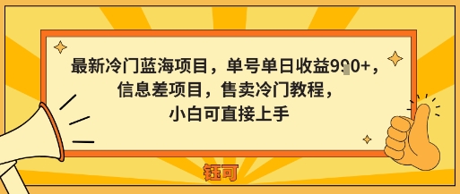 最新冷门蓝海项目，单号单日收益多张，信息差项目，售卖冷门教程，小白可直接上手-韬哥副业项目资源网
