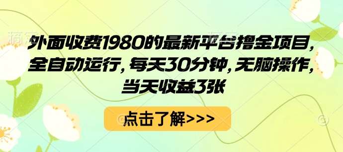 外面收费1980的最新平台撸金项目，全自动运行，每天30分钟，无脑操作，当天收益3张【揭秘】-韬哥副业项目资源网