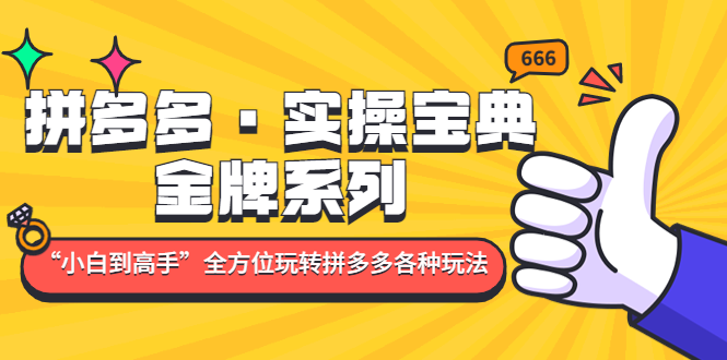 （4934期）拼多多·实操宝典：金牌系列“小白到高手”带你全方位玩转拼多多各种玩法-韬哥副业项目资源网