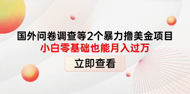 图片[1]-（4062期）国外问卷调查等2个暴力撸美金项目，小白零基础也能月入过万-韬哥副业项目资源网