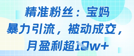 精准粉丝：宝妈暴力引流方法，被动成交，月盈利超1w+-韬哥副业项目资源网