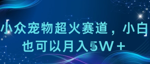 小众宠物超火赛道，小白也可以月入1w+-韬哥副业项目资源网
