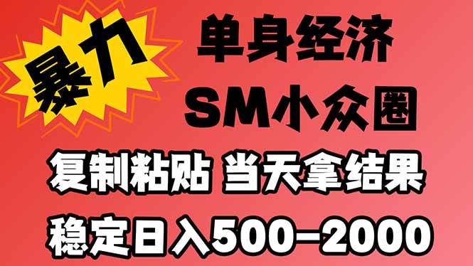 （21205期）26年 最新小众情感赛道，手机操作，十分钟见收益，小白也能当天上手，全程复制粘贴模板即可，稳定日入1k+-韬哥副业项目资源网