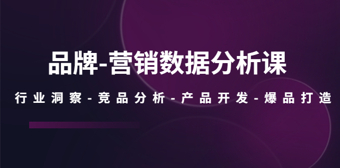 （5565期）品牌-营销数据分析课，行业洞察-竞品分析-产品开发-爆品打造-韬哥副业项目资源网