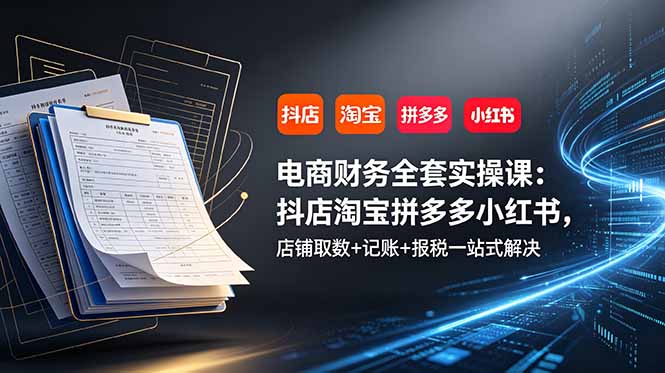 电商财务全套实操课：抖店淘宝拼多多小红书，店铺取数+记账+报税一站式解决-韬哥副业项目资源网