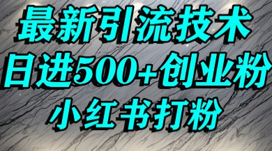小红书精准引流创业粉，前辈求带孩子走投无路了，单人操作日引500+精准创业粉-韬哥副业项目资源网