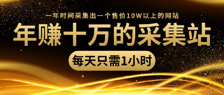 （1418期）年赚十万的采集站，每天1小时，一年采集出一个售价10W的网站（无水印）-韬哥副业项目资源网