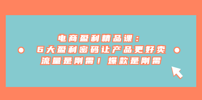 （6954期）电商 盈利精品课：6大盈利 密码让产品更好卖，流量是刚需！爆款是刚需-韬哥副业项目资源网