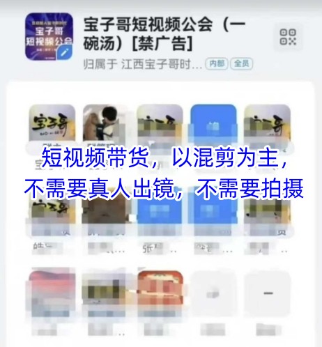 宝子哥头部团队短视频带货，以混剪为主，不需要真人出镜，不需要拍摄【更新9月】-韬哥副业项目资源网