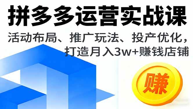 （16135期）拼多多运营实战课，活动布局、推广玩法、投产优化，打造月入3w+赚钱店铺-韬哥副业项目资源网