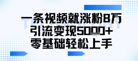 一条视频就涨粉8W引流变现5k+，0基础项目轻松上手-韬哥副业项目资源网