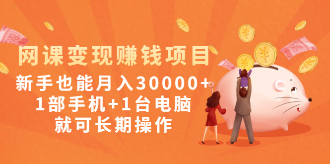 （1990期）网课变现赚钱项目：新手也能月入30000+1部手机+1台电脑就可长期操作-韬哥副业项目资源网