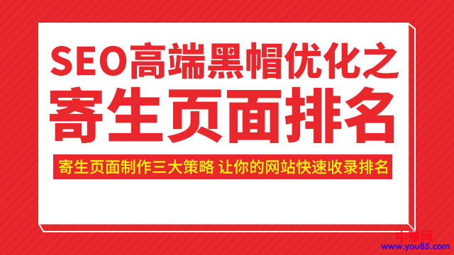 （951期）SEO高端黑帽优化之寄生页面排名，制作策略+快速收录排名（视频课）-韬哥副业项目资源网