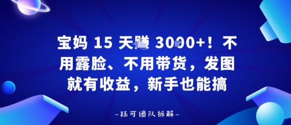 宝妈15天賺3k+！不用露脸、不用带货，发图就有收益，新手也能搞-韬哥副业项目资源网