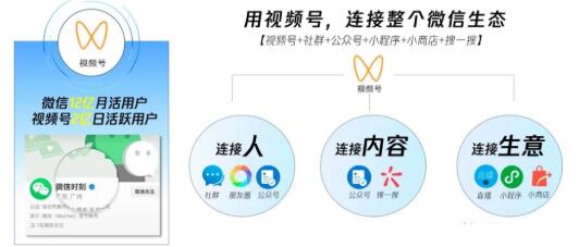 （1656期）从0到1带你玩赚视频号：这么玩才赚钱，日引流500+日收入1000+核心玩法