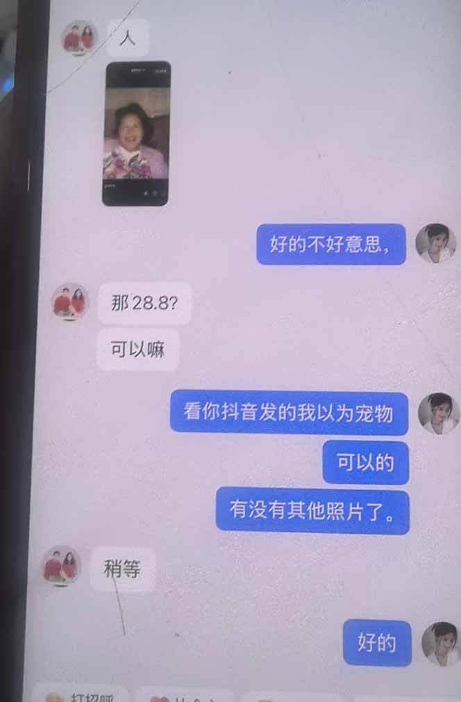 思念亲人AI视频教程：亲人复活+人物替换技术，条条几万赞爆款作品制作-韬哥副业项目资源网
