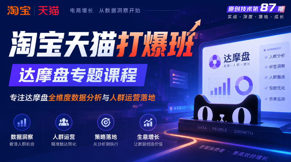 《淘宝天猫打爆班》原创技术第87期，达摩盘专题课程，专注达摩盘全维度数据分析与人群运营落地-韬哥副业项目资源网
