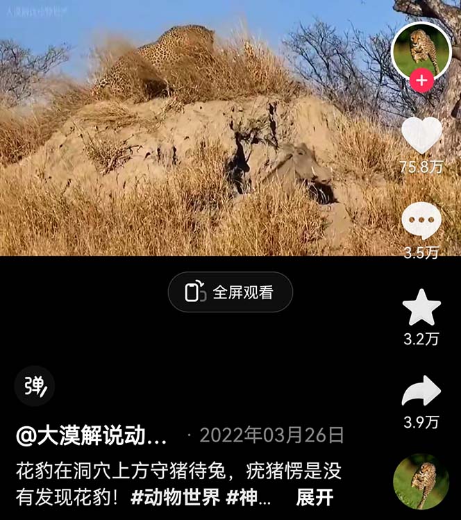 (6312期)外面卖1699的国外纪录片解说(动物解说、美食、动画片)稳过中视频