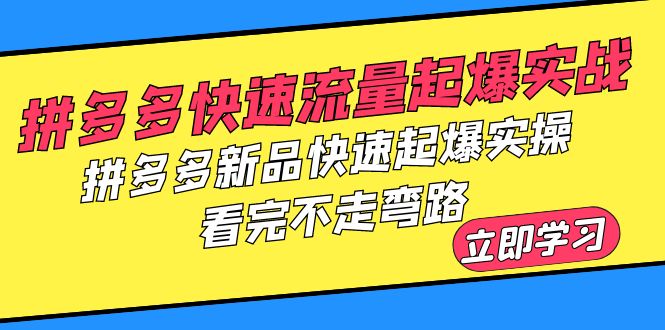 （6253期）拼多多-快速流量起爆实战，拼多多新品快速起爆实操，看完不走弯路-韬哥副业项目资源网