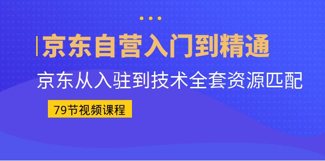 （6901期）京东自营入门到精通：京东从入驻到技术全套资源匹配（79节课）-韬哥副业项目资源网