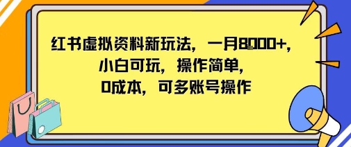 小红书虚拟资料新玩法，一月8k+小白可玩，操作简单-韬哥副业项目资源网