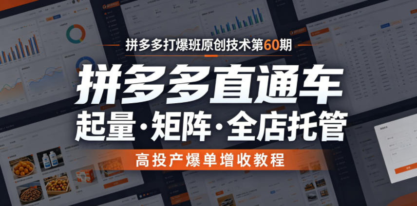 拼多多打爆班原创技术第60期，拼多多直通车，起量・矩阵・全店托管，高投产爆单增收教程-韬哥副业项目资源网