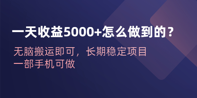图片[1]-（6435期）一天收益5000+怎么做到的？无脑搬运即可，长期稳定项目，一部手机可做-韬哥副业项目资源网
