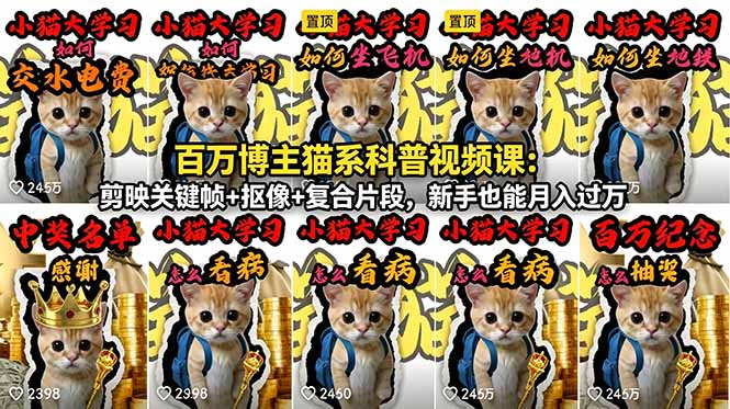百万博主猫系科普视频课：剪映关键帧+抠像+复合片段，新手也能月入过万-韬哥副业项目资源网