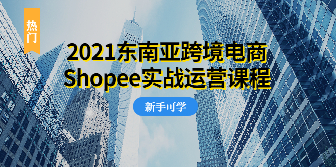 （1951期）2021东南亚跨境电商Shopee实战运营课程，0基础、0经验、0投资的副业项目-韬哥副业项目资源网